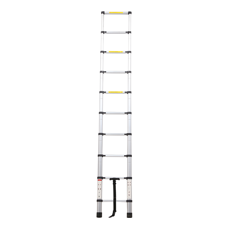 DX-60200-60440 Economic Telescopic Ladders with Locking Mechanism for Household Or RV Outdoor Work