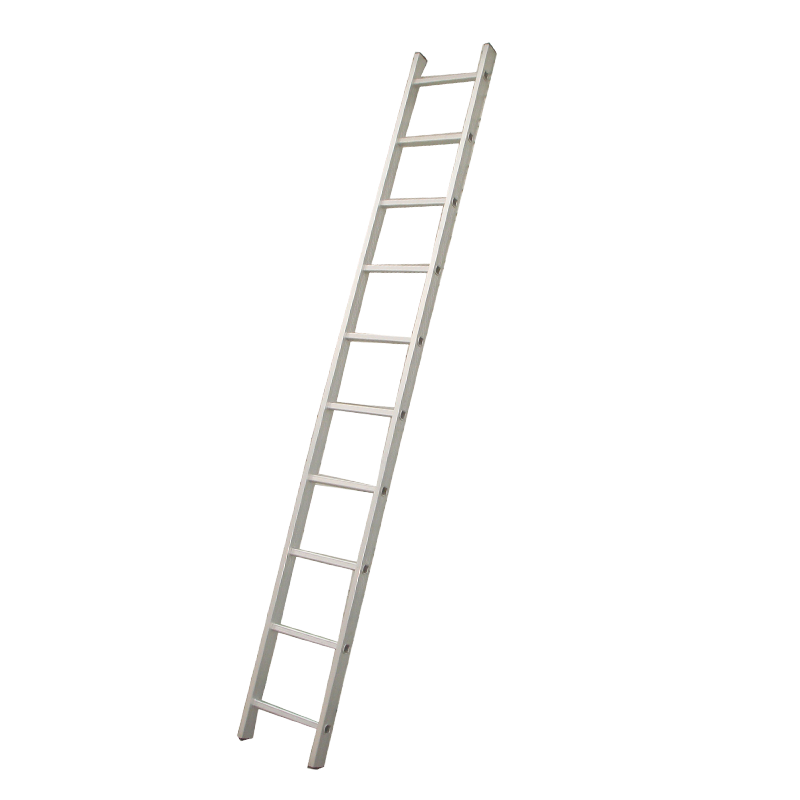 DX-E107-E115 Economic Aluminum D-rung Single Straight Ladder