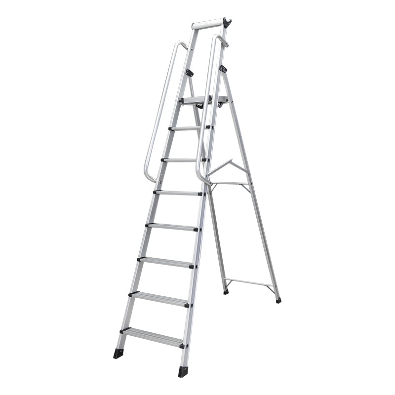 P56 Professional Step Ladder with Tool Tray 5600 Series